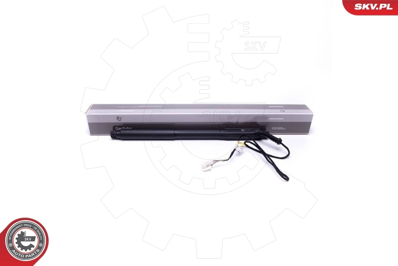 Electric Motor, tailgate